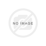 Hikvision DS-2XM6726G0-IM/ND Mobil IP Dome Kamera
